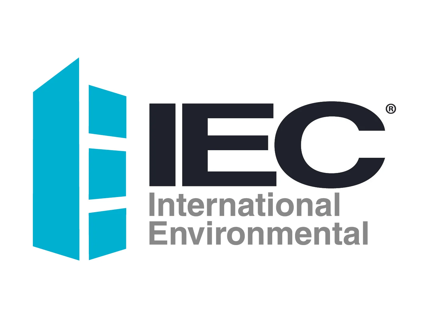 International Environmental Logo.jpg