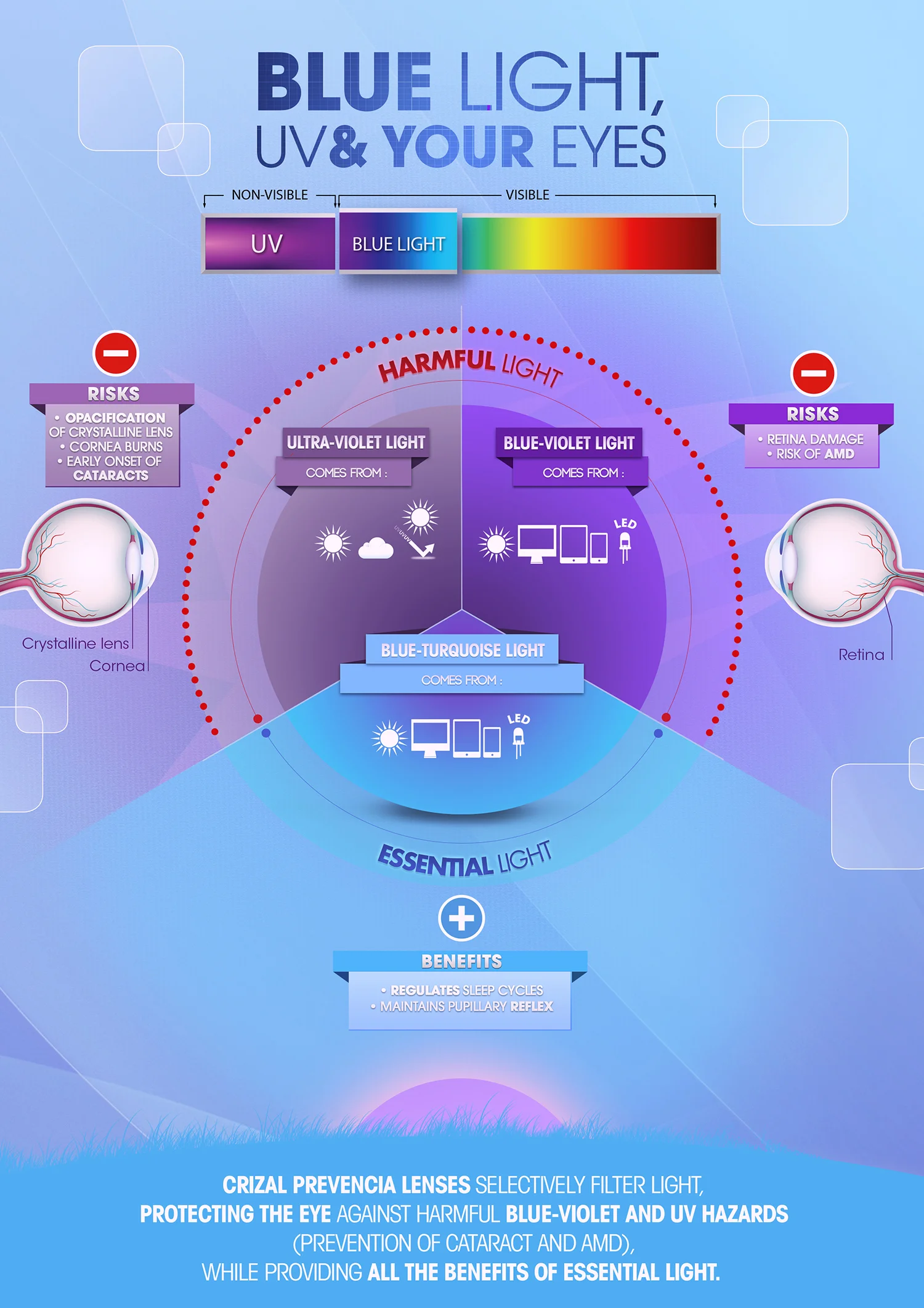 Blue-light-infographic-sm.jpg