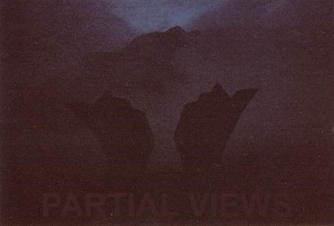 Partial View.jpg