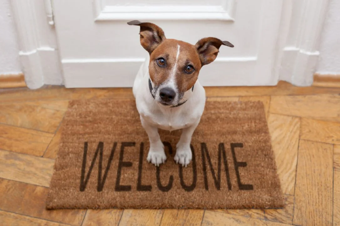 Condo Owners With Dogs To Pay More