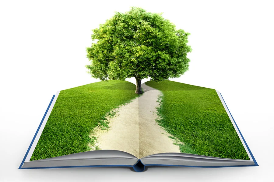 Environmental Requirements With Commercial Real Estate