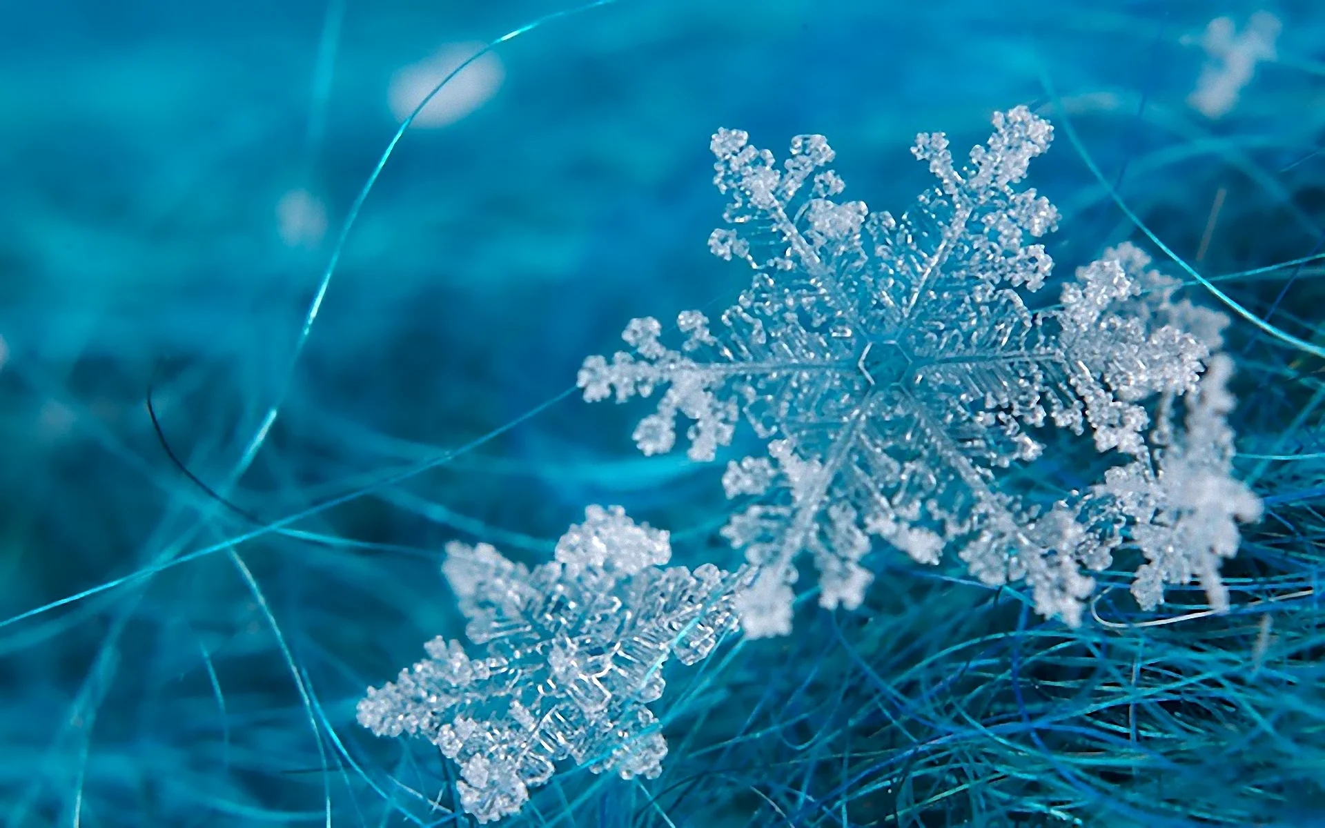 Lincoln County Warming Centers