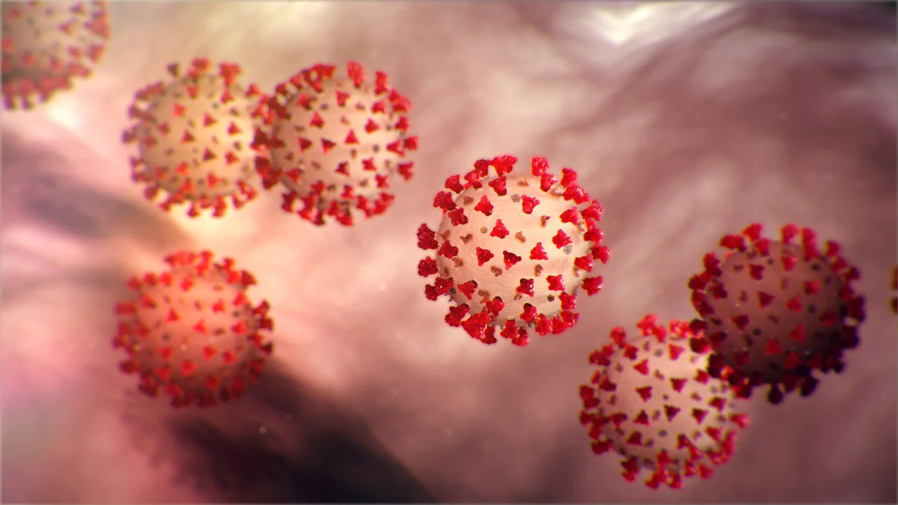 2019 Novel Coronavirus (COVID-19) Updates