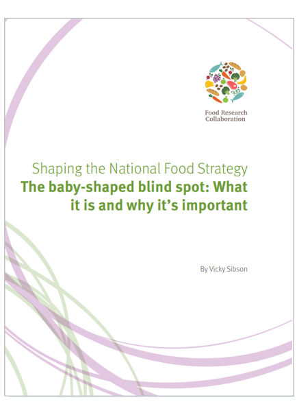 Shaping+the+National+Food+Strategy+report+cover.jpg
