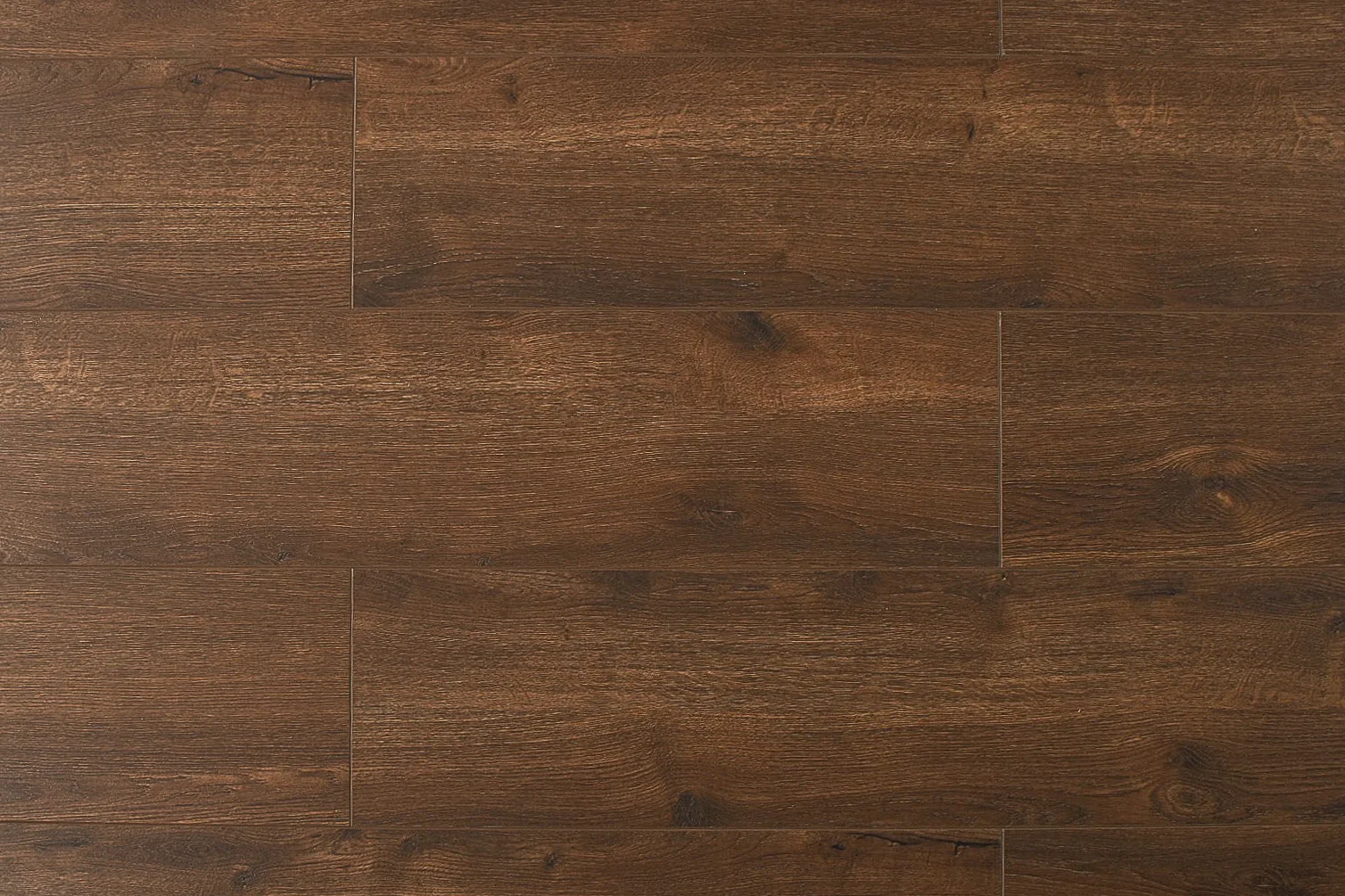 Prime Chestnut-3.jpg