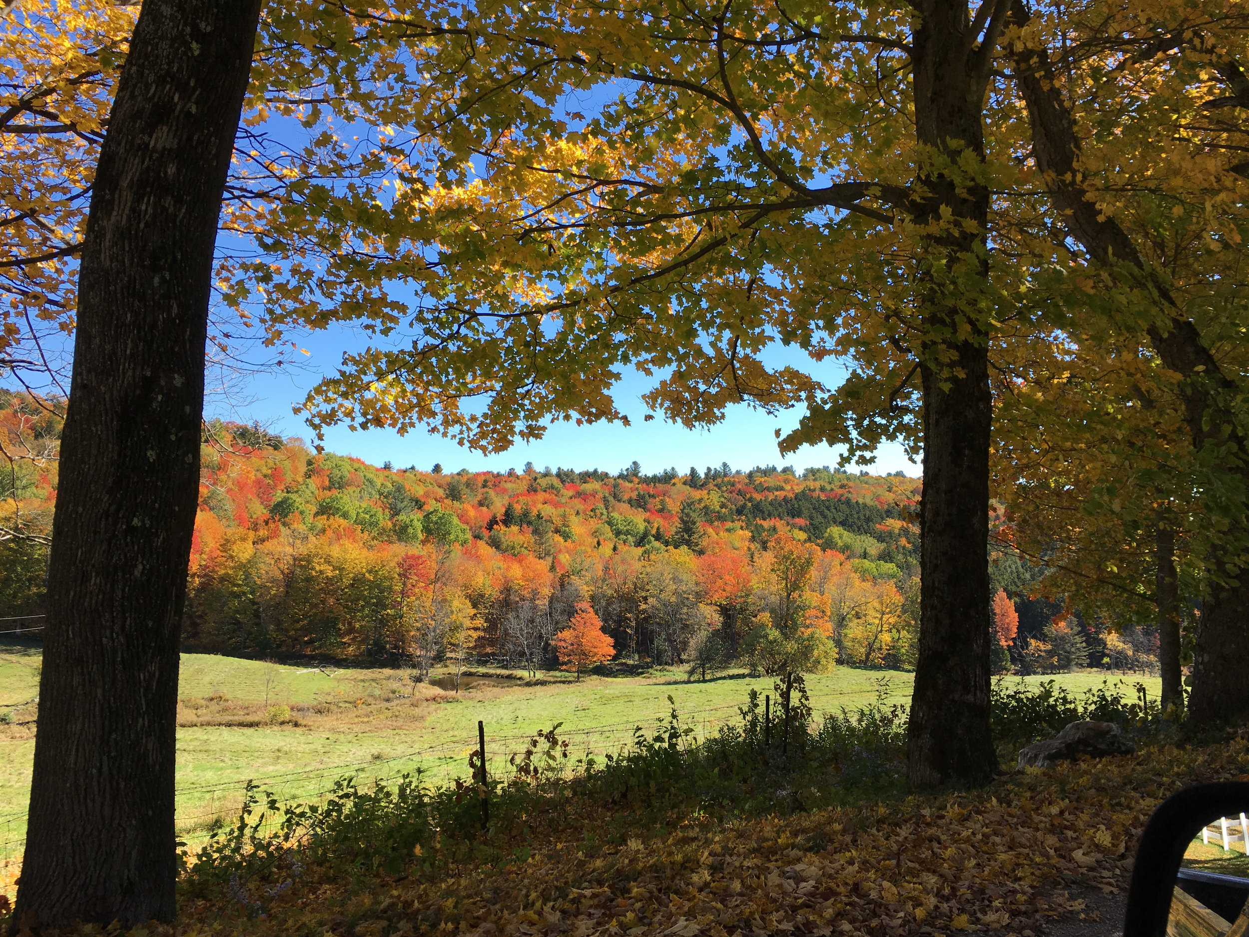 fall vt field.jpg