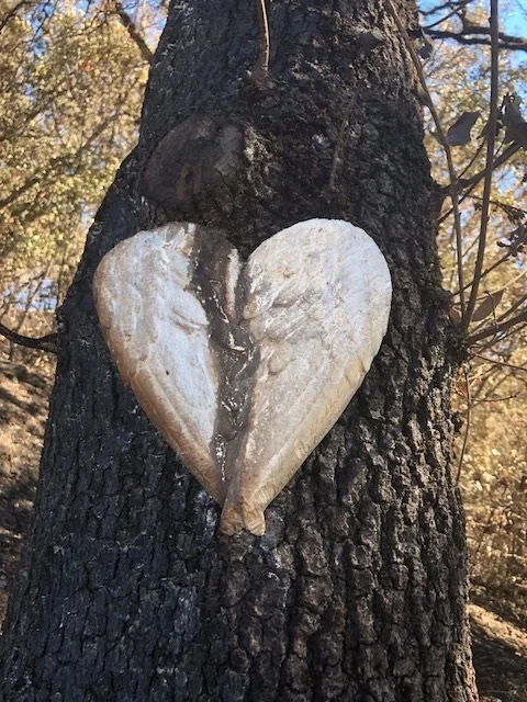 Heat from fire released sap down the middle of this heart