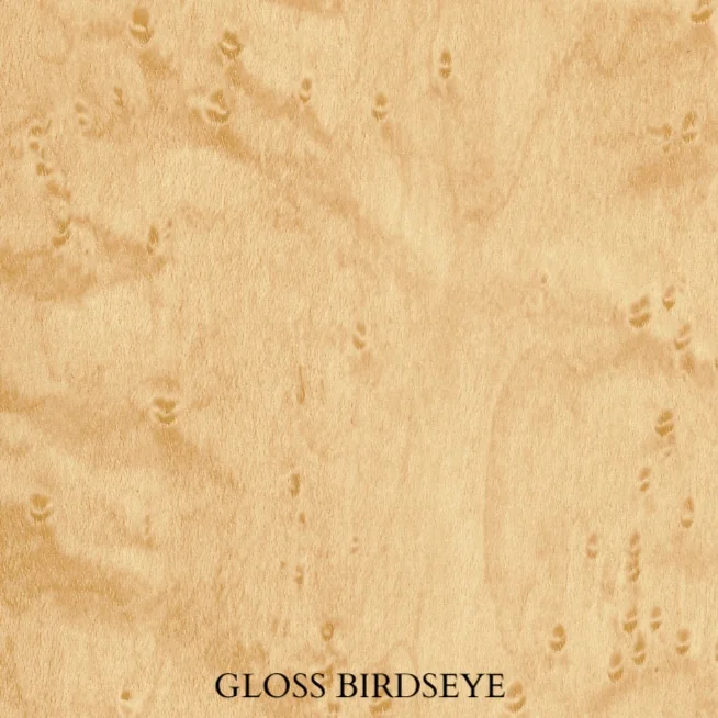 Gloss Birdseye HG.jpg