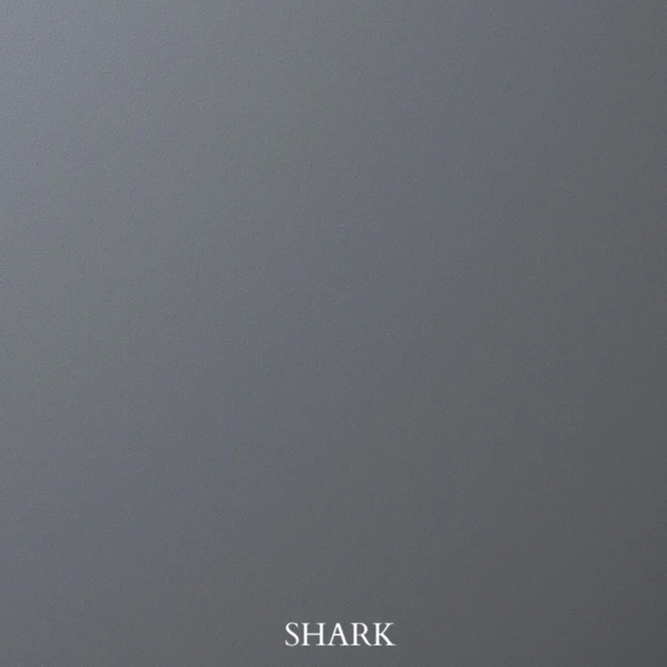 Shark.jpg