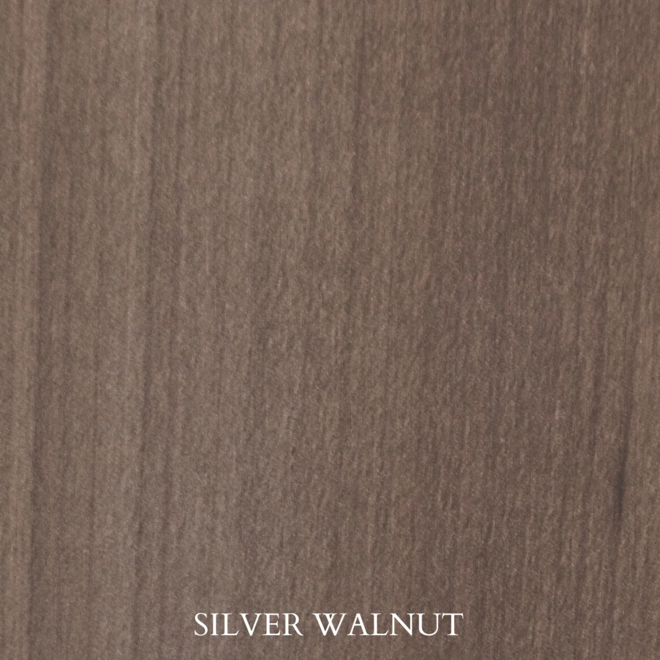 Silver Walnut.jpg