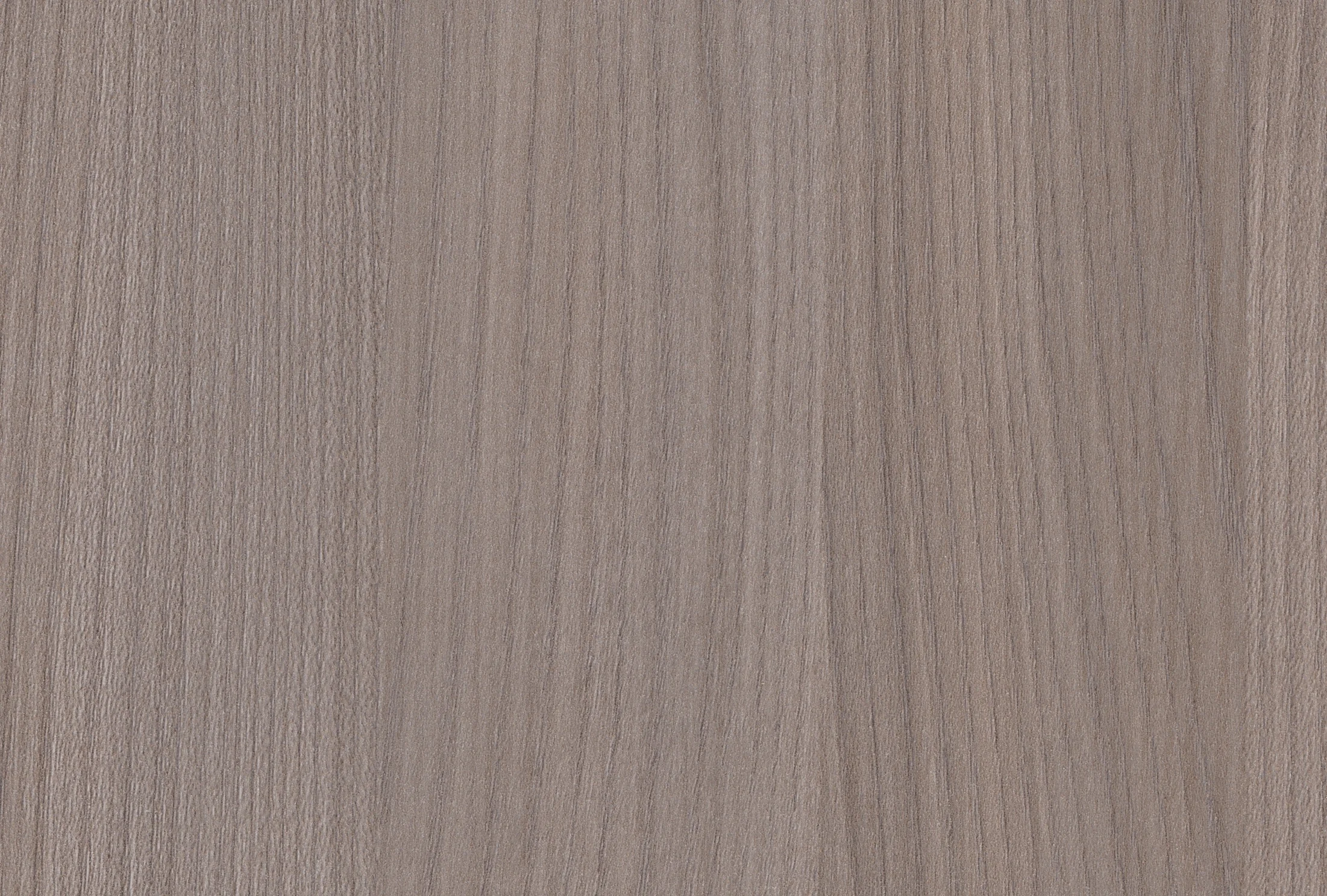 Silver Elm Vertical.jpg