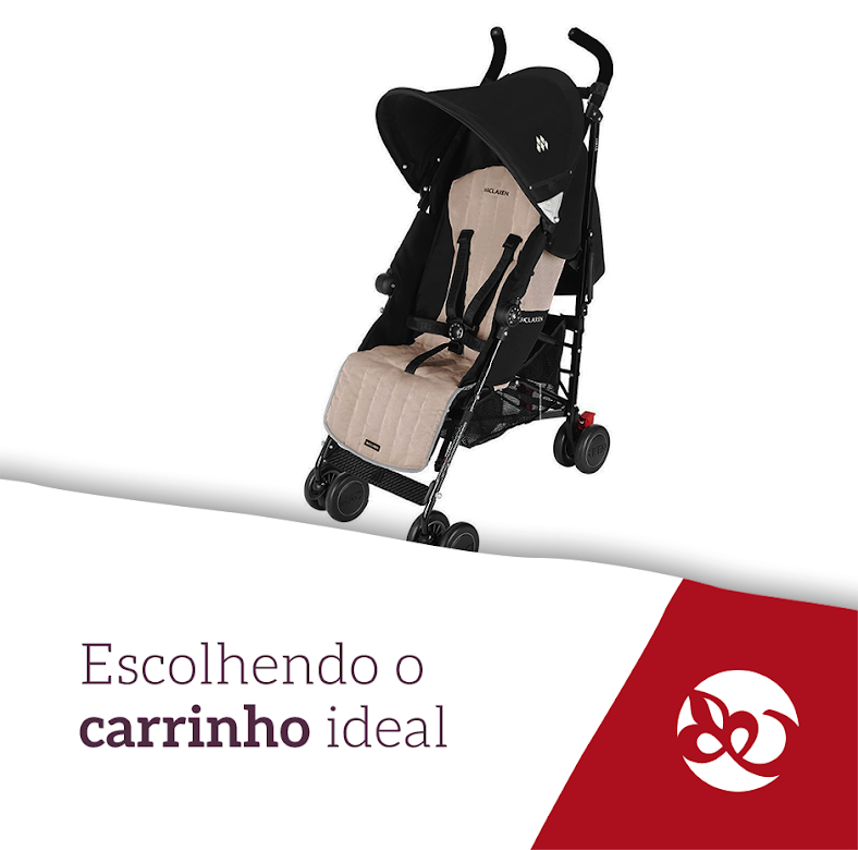 escolhendo o carrinho ideal