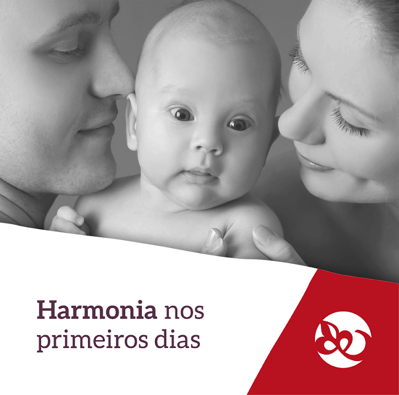 harmonia nos primeiros dias