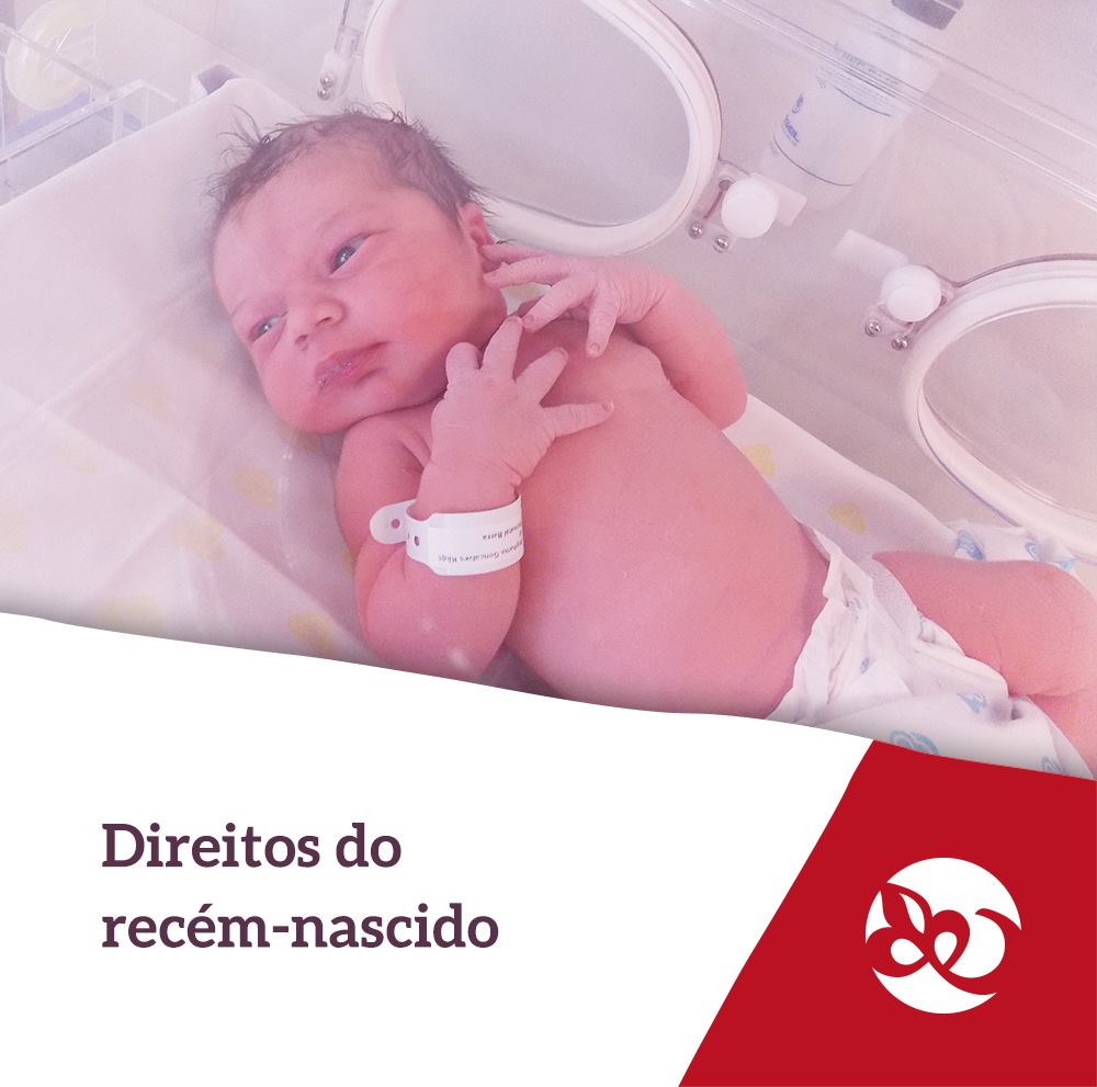 direitos do recém nascido