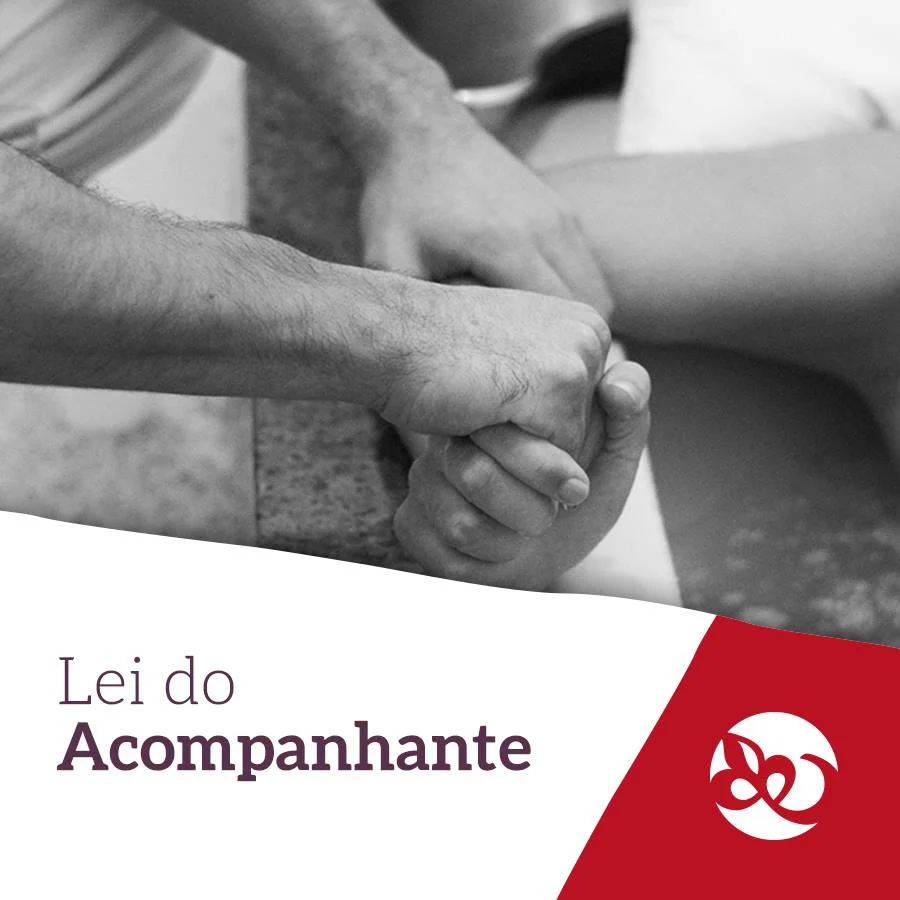 lei do acompanhante