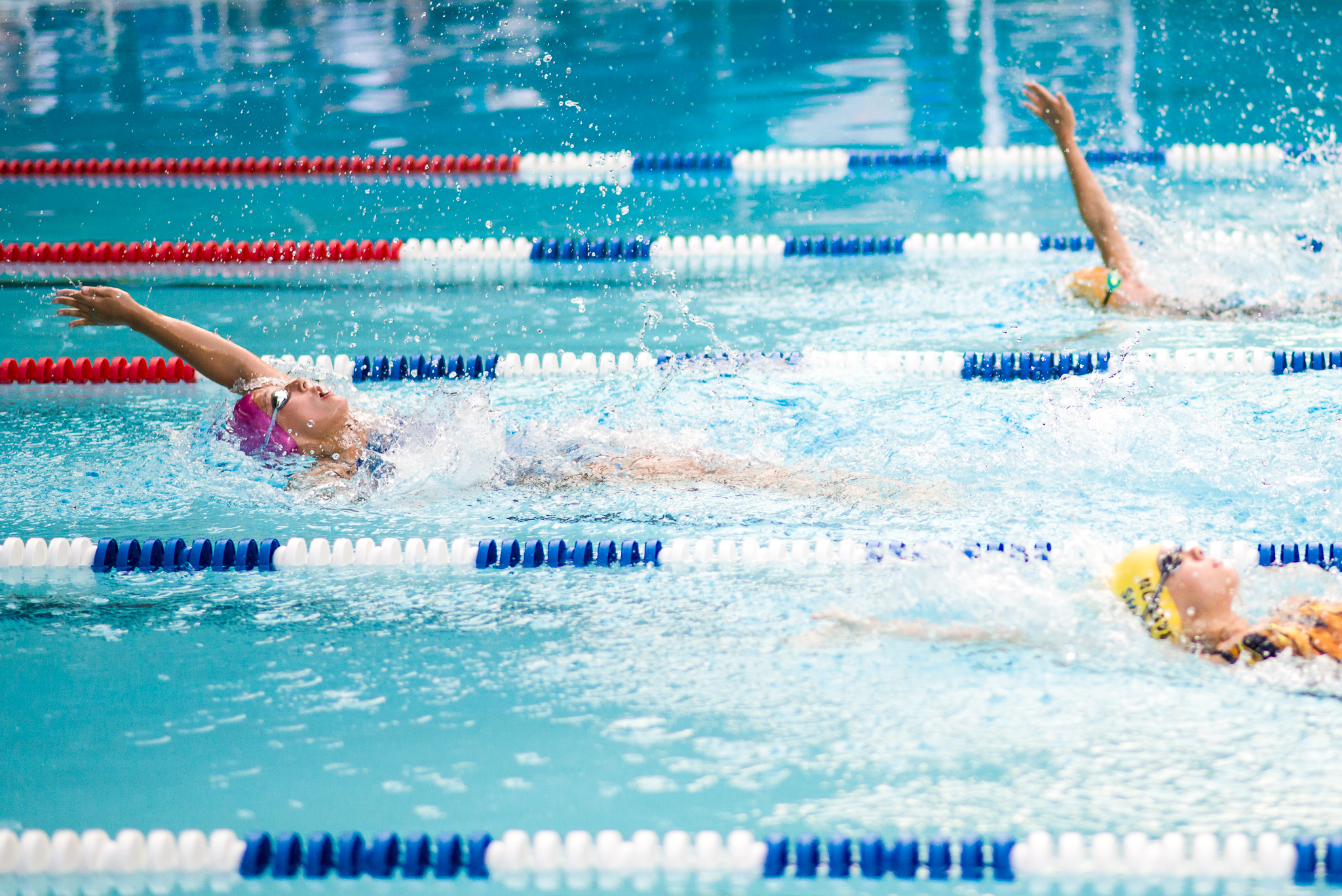 Fox-Hunt-Pool_FX-Splash_Cottontail_2017.07.10_068.jpg