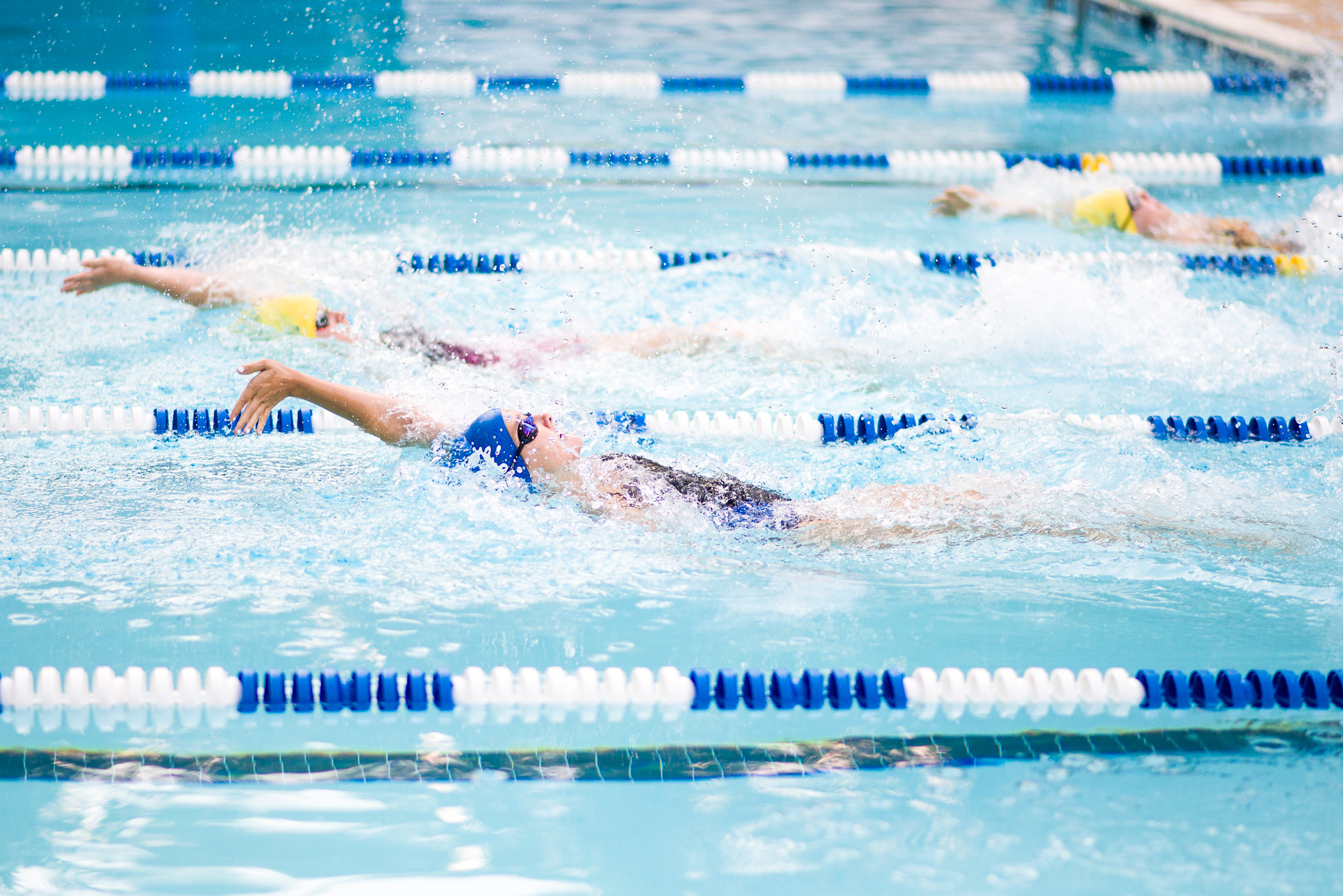 Fox-Hunt-Pool_FX-Splash_Cottontail_2017.07.10_073.jpg