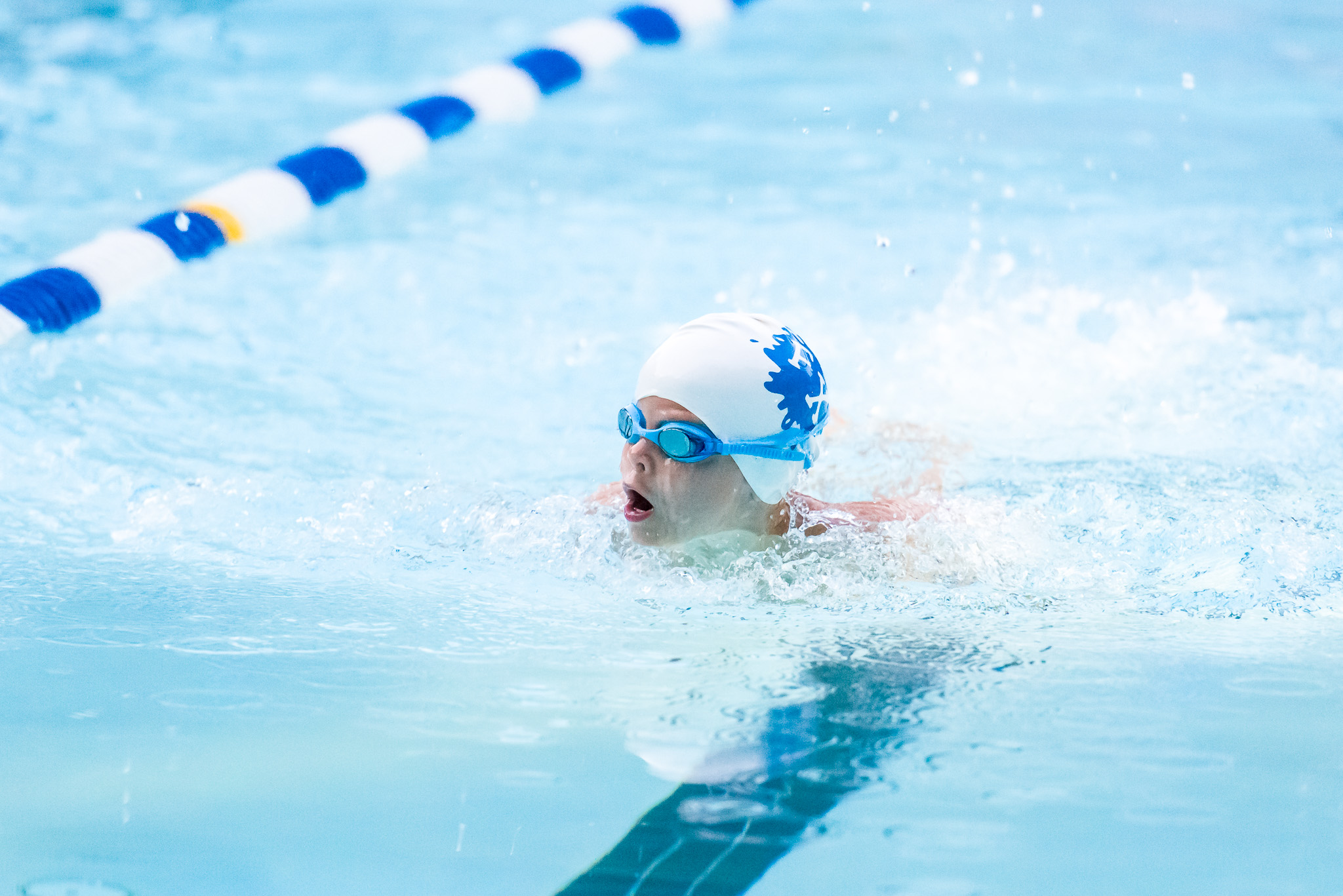 Fox-Hunt-Pool_FX-Splash_Cottontail_2017.07.10_087.jpg