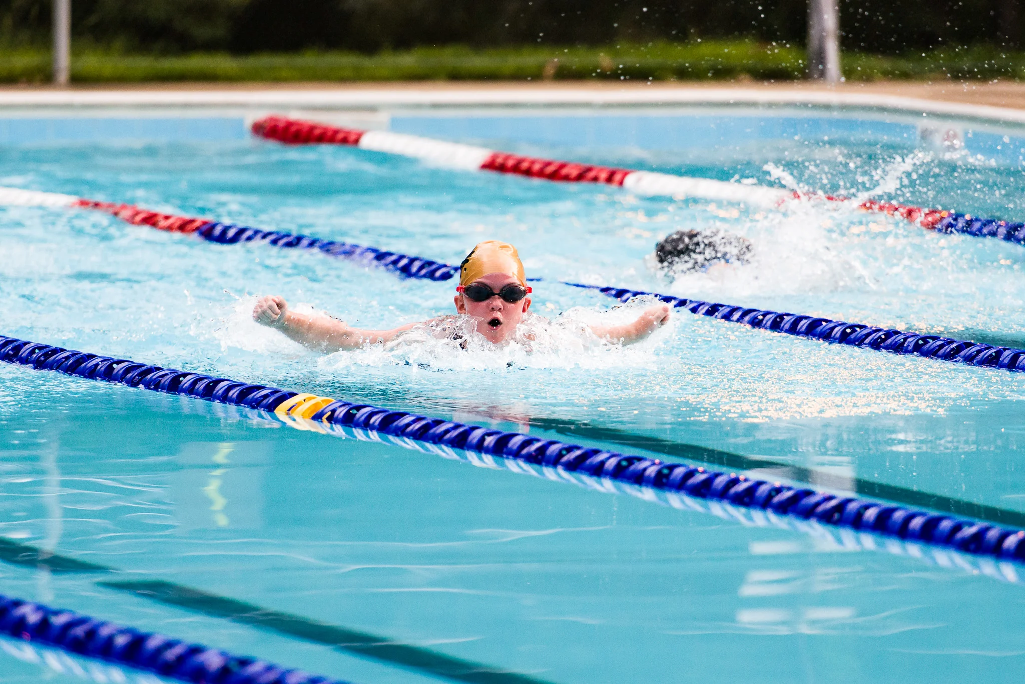 Fox-Hunt-Pool_FX-Splash_Newington Forest_2017.07.17_130.jpg