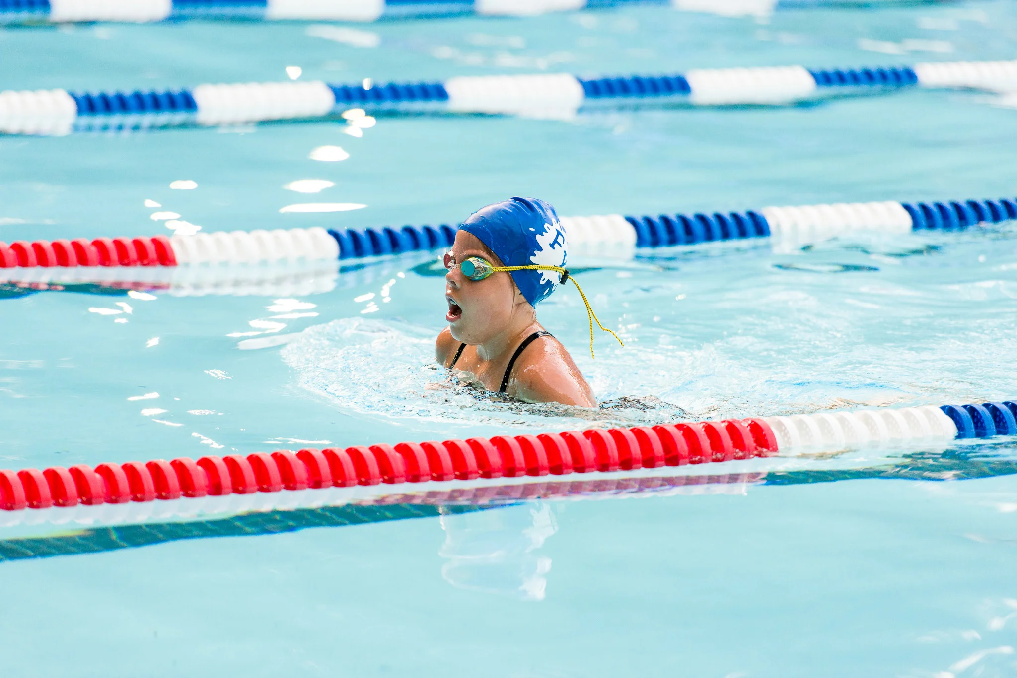 Fox-Hunt-Pool_FX-Splash_North-Springfield_FX_2017.06.26_076.jpg