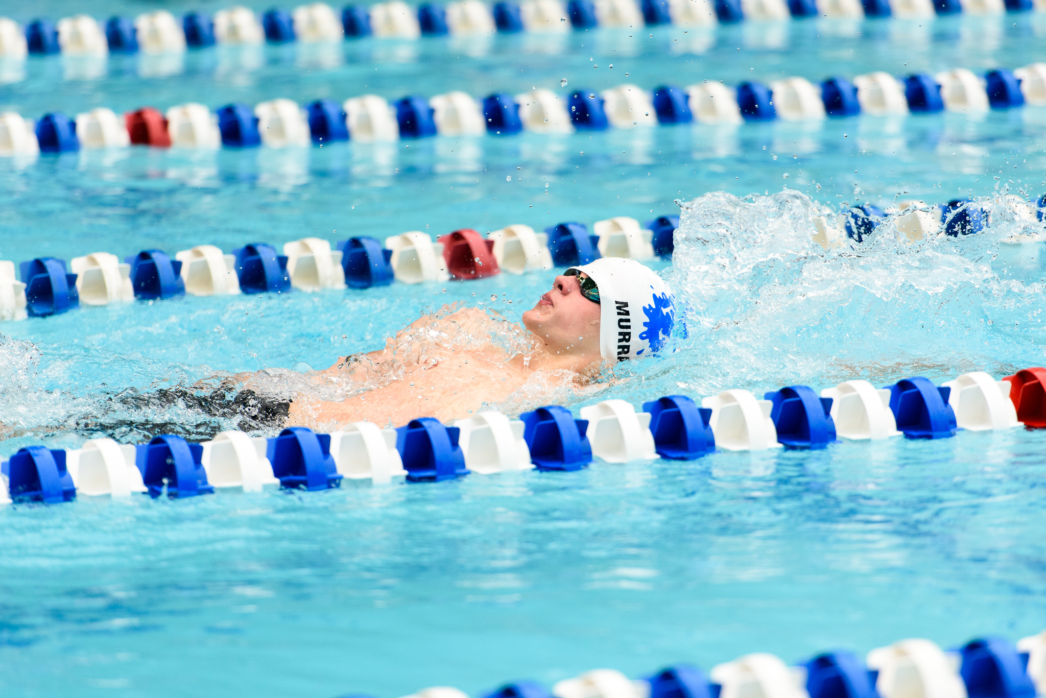 Fox-Hunt-Pool_FX-Splash_Hollin-Hills_2018.06.23_042.jpg