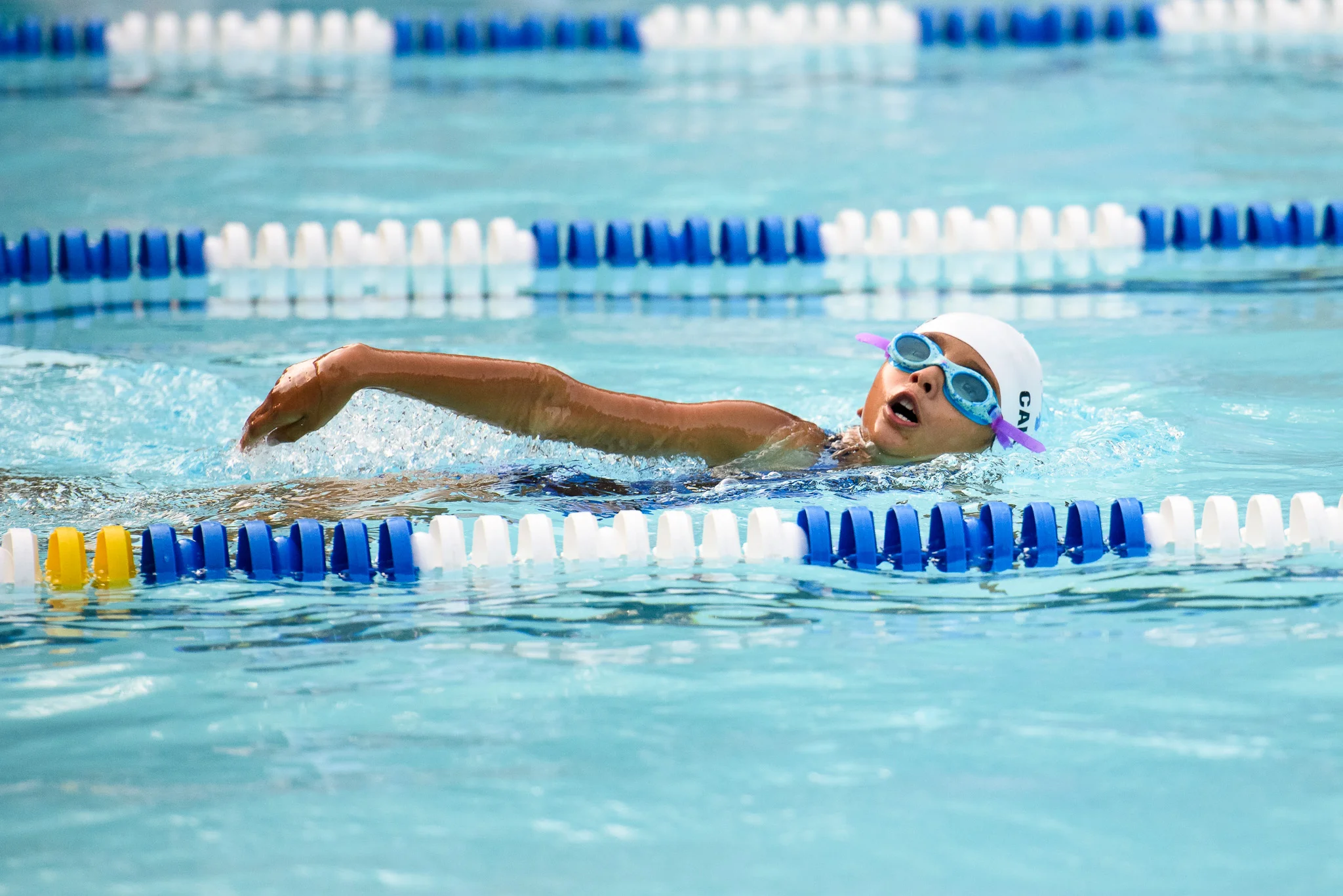 Fox-Hunt-Pool_FX-Splash_Cottontail_2018.07.02_038.jpg
