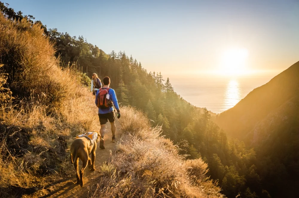 Want to reset your body clock? Studies say go camping. Image from Shutterstock