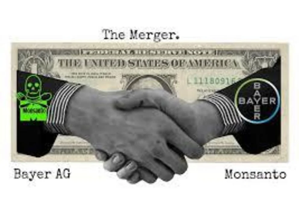 bayer merger.jpg