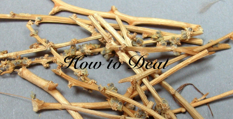 How to Deal.png