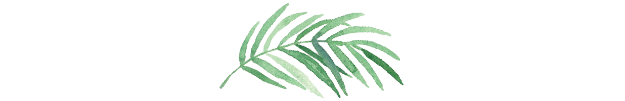 palem-01.png