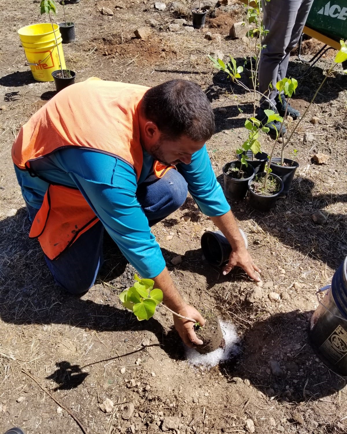 Protectores+de+Cuenta+planting+trees+at+Guanica+Dry+Forest+Reserve.jpg