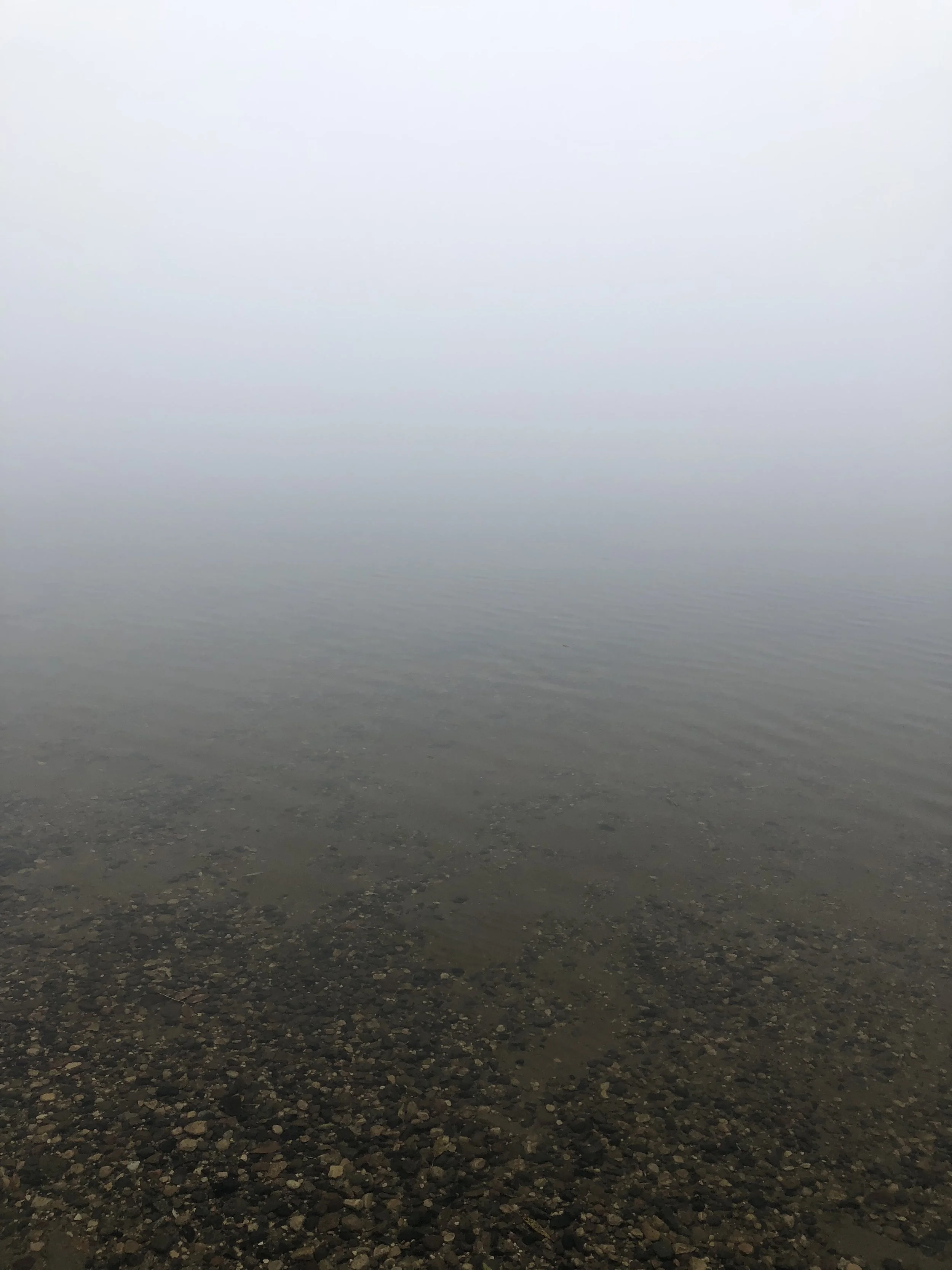 On the Other Side of the Fog
