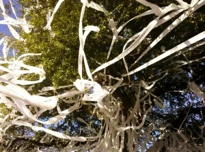 tp tree