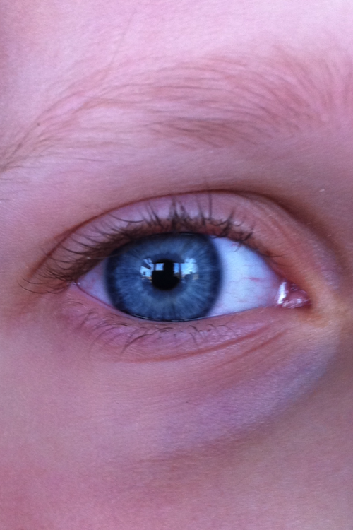 IMG_2299.png