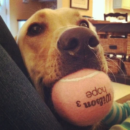 mack-hopeful.jpg