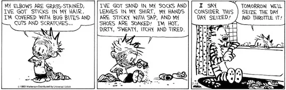 carpe diem