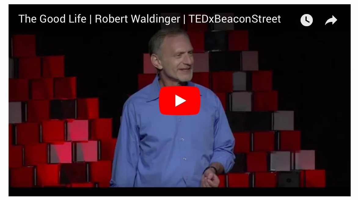 What makes a good life?