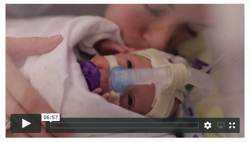 Capturing The Miracle of Life