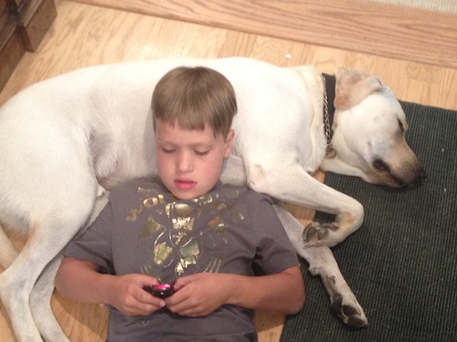 15 Reasons to Celebrate Dogs