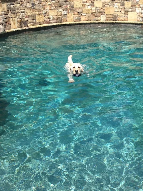 10 1/2 Reasons to Stop & Pause