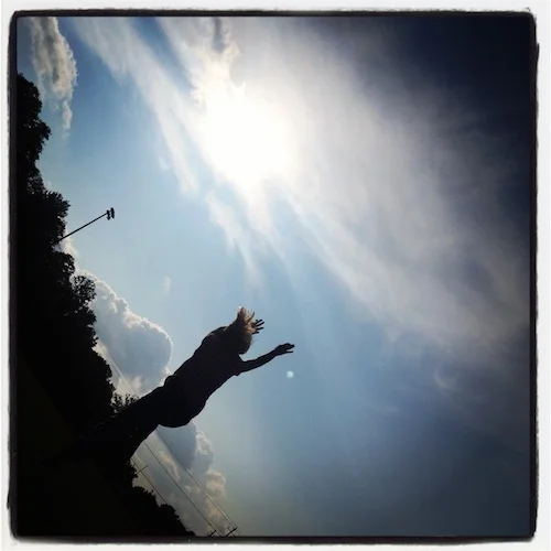 The Next Step, Part B