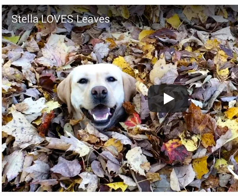 How to Tackle Monday