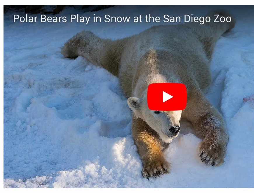 When the celebrating is done