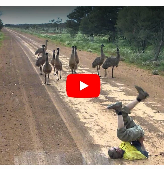 Are you brave enough?