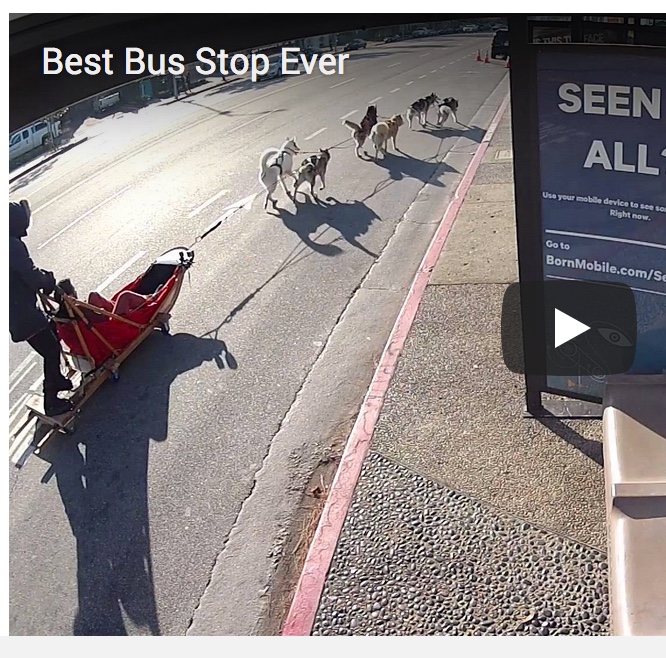 Innovation Thru Absurdity