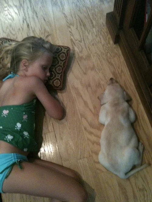 7 Ways Blogging Is Like Owning A Puppy