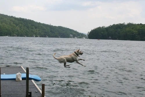 Can't Convince?  Try Whining!