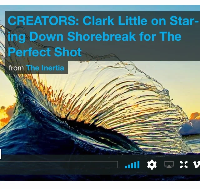 When you do what you love