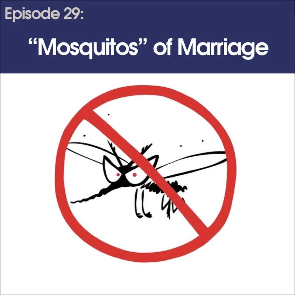 #29 - "Mosquitos" of Marriage