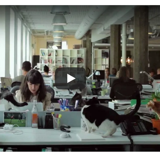 The Future of Online Advertising